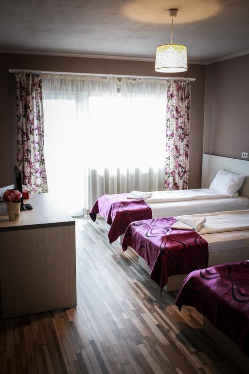 Pensiunea Oxana Lipova Room photo