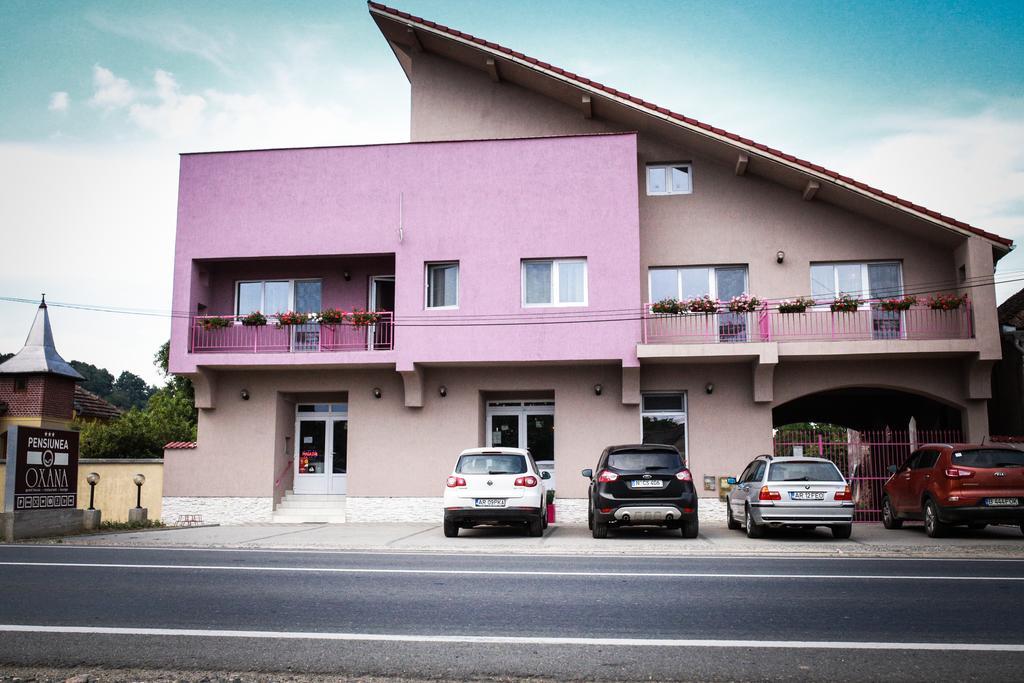 Pensiunea Oxana Lipova Exterior photo